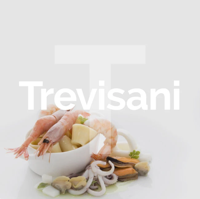 athena concept trevisani