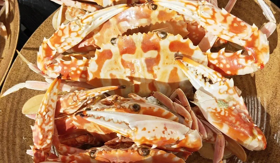 athena concept chef sea food 