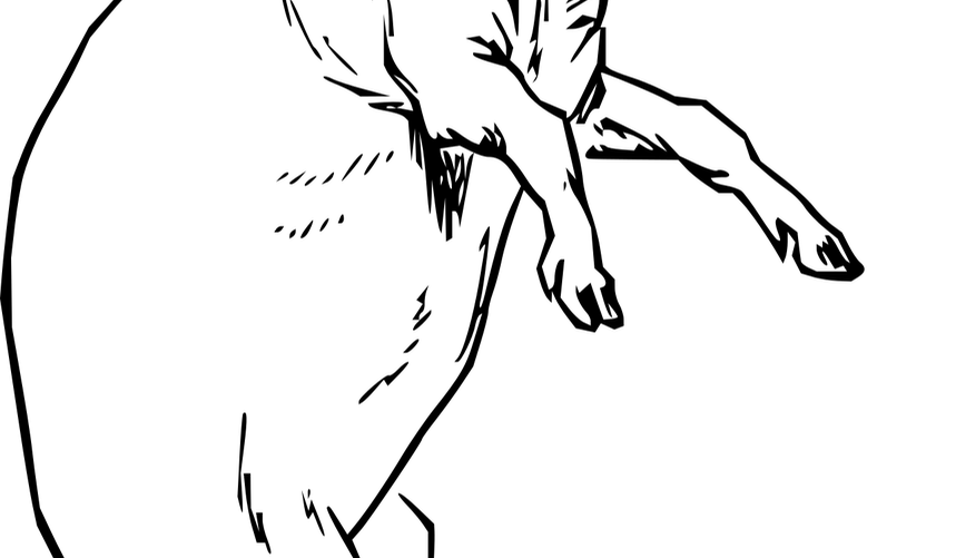 athena concept zarpellon