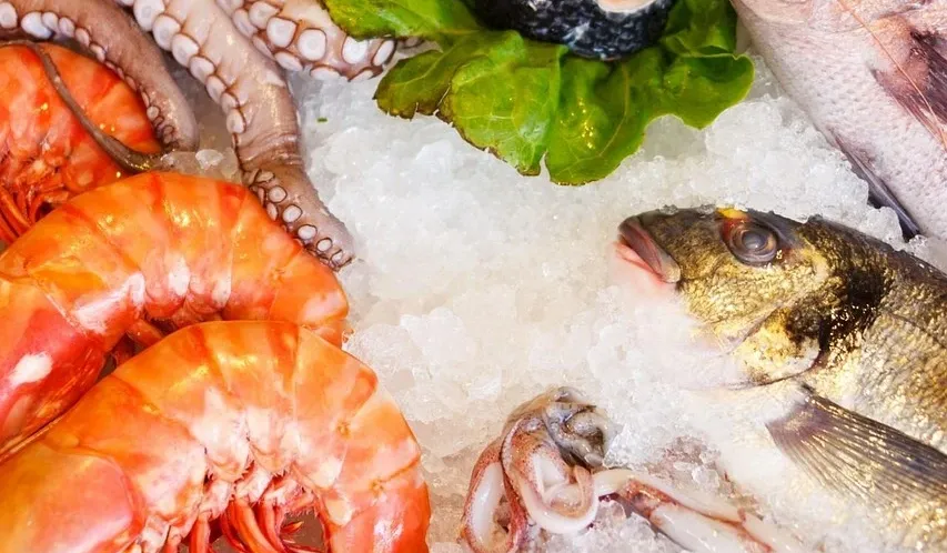 athena concept chef sea food