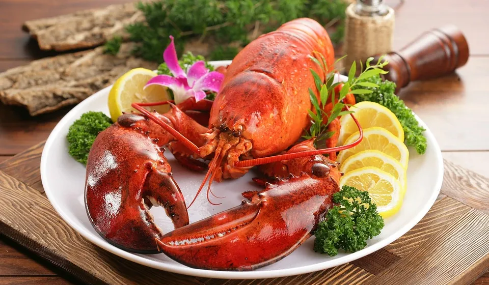 athena concept chef sea food