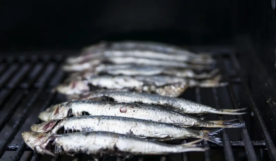 athena concept chef sea food