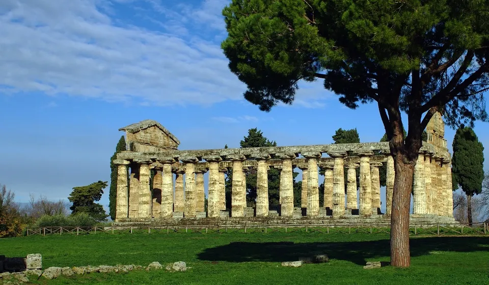 athena promarche