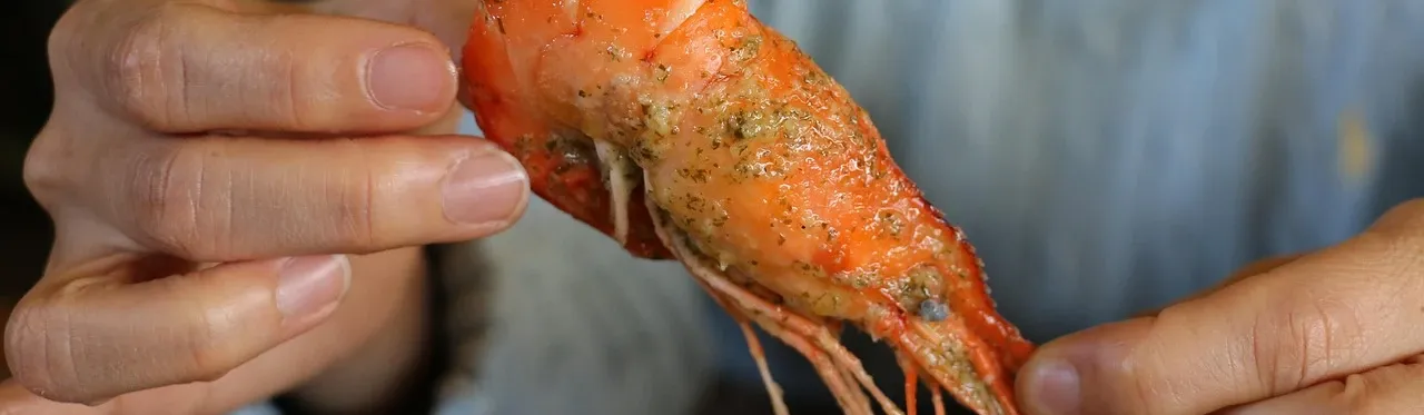 athena concept chef sea food